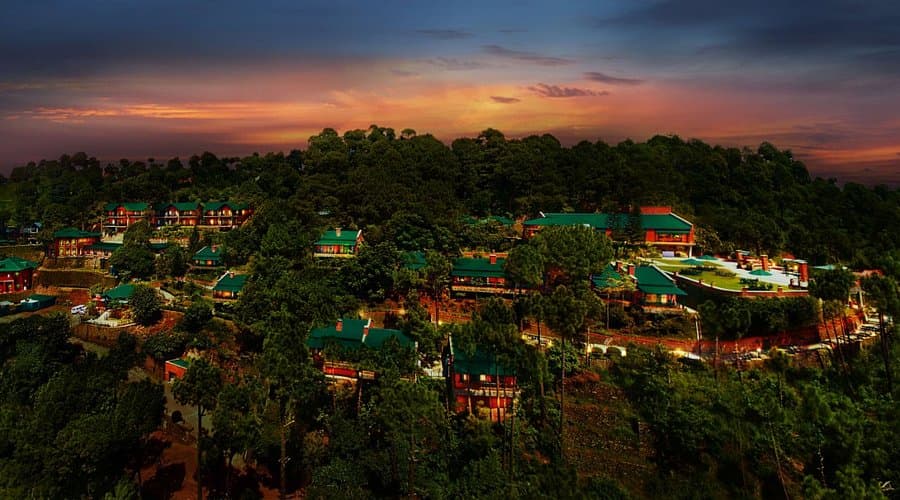 Boutique Forest Properties