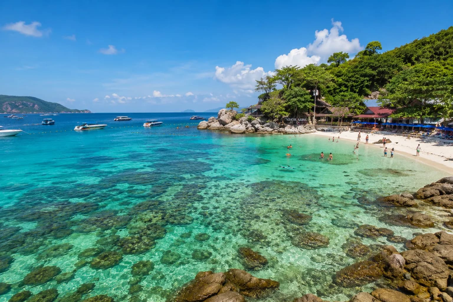 Coral Island