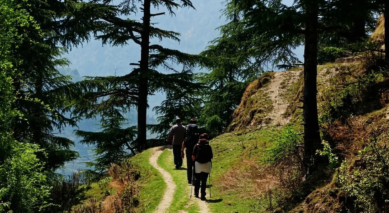 Naag Tibba Trek